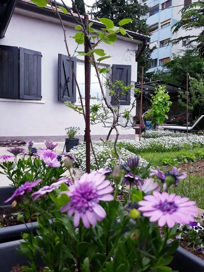 Lana Apartment Rijeka